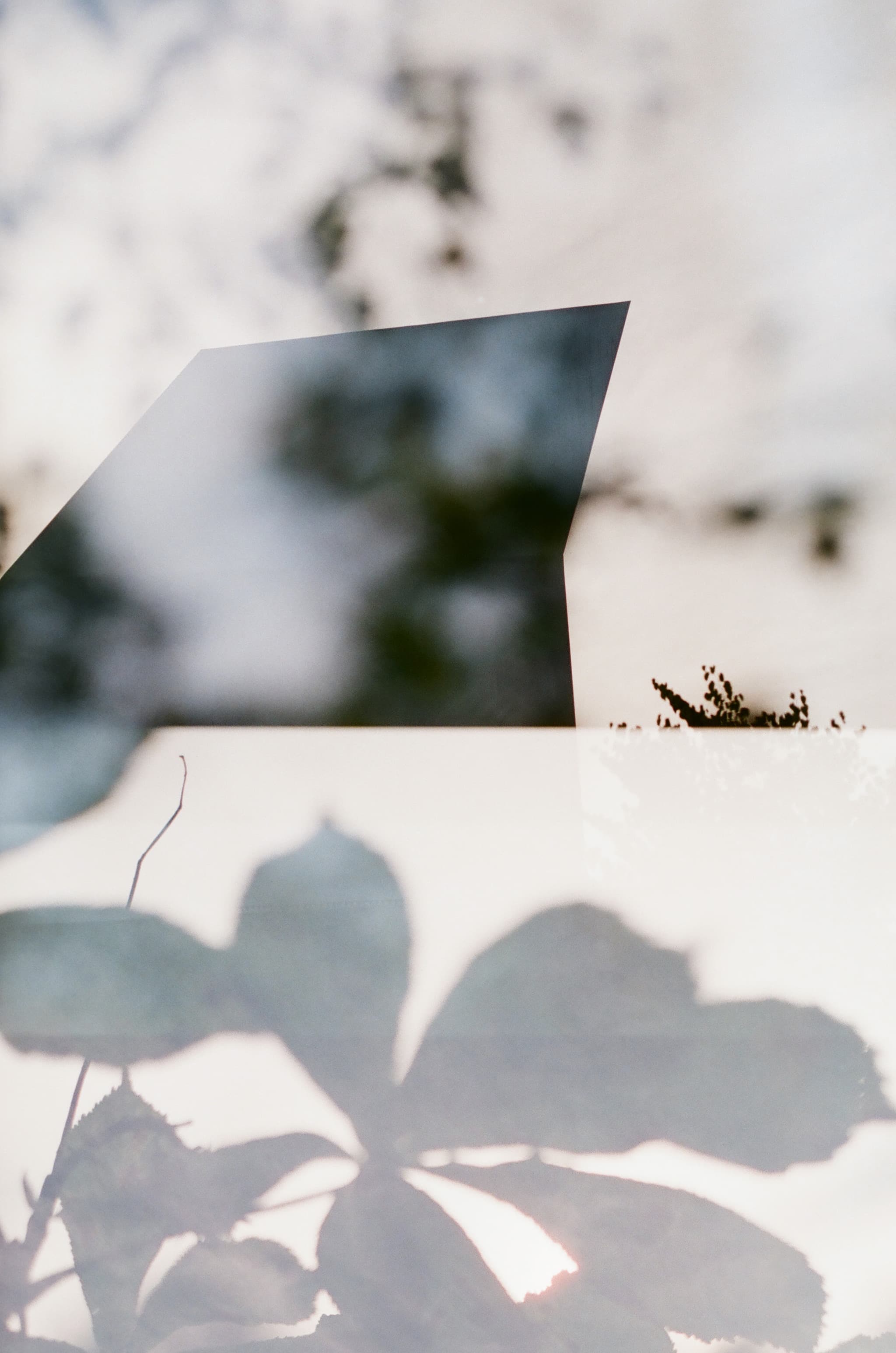 Gallery image for Grafenegg